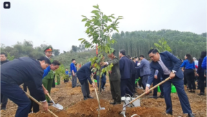 Thứ trưởng Nguyễn Quốc Trị (phải) trồng cây tại Tết trồng cây 2024 ở Tuyên Quang. Ảnh: Bảo Thắng.